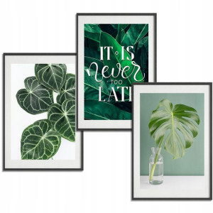 Zestaw 3 PLAKATY Obrazy 50x70 BOTANICAL Nature