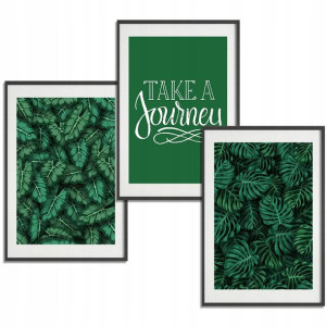 Zestaw 3 PLAKATY Obrazy 50x70 BOTANICAL Nature