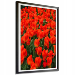PLAKAT 140x100cm Czerwone Tulipany Kwiaty Wzory