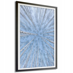 PLAKAT 140x100cm Las Brzozowy Niebo Błękit Wzory