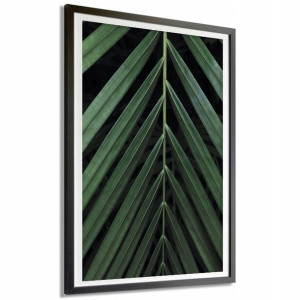 PLAKAT 140x100cm Liście Palmy na Czarnym Tle Wzory