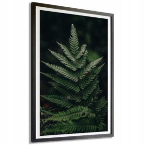 PLAKAT 140x100cm Natura Las Paproć Liście Wzory