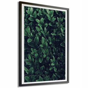 PLAKAT 140x100cm Zielone Liście Krzew Natura Wzory