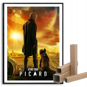 Plakat 29,7x42cm PICARD Serial Topowe Wiele Wzorów