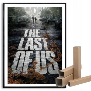 Plakat 29,7x42cm The Last Of Us Top Wiele Wzorów