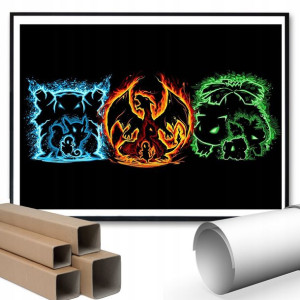 Plakat A3 42x29,7 Dla Fana CHARIZARD POKEMON Wzory