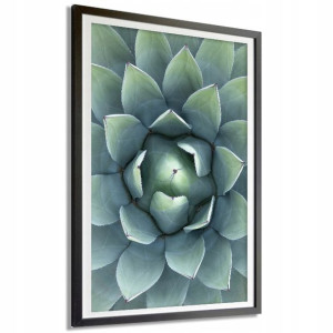 PLAKAT XXL 140x100cm Kaktus Roślina Natura Wzory