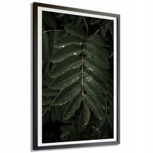 PLAKAT XXL 140x100cm Liście Dark Art Foto Wzory