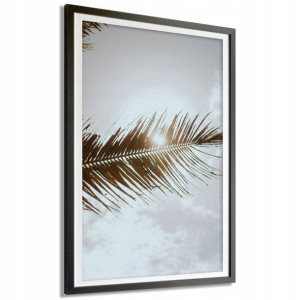 PLAKAT XXL 140x100cm Palma Liście Niebo Foto Wzory