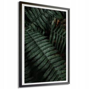 PLAKAT XXL 140x100cm Paproć Liście Natura Wzory