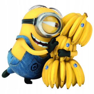 NAKLEJKA na Ścianę MINIONKI BANANA 100x71cm Duża