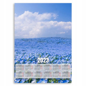 Kalendarz 2023 Plakatowy 50x70 Kwiaty Chabry Wzory