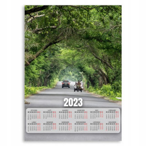 Kalendarz 2023 Plakatowy 50x70cm Droga Leśna Wzory