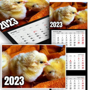 Piękny Trójdzielny Kalendarz 2023 KURCZACZKI Wz