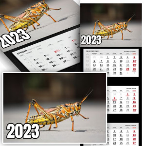 Piękny Trójdzielny Kalendarz 2023 NATURA MOTYLE Wz