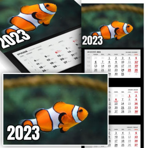 Piękny Trójdzielny Kalendarz 2023 RYBKA NEMO Wz