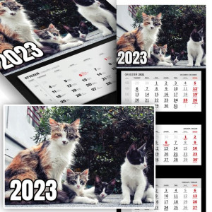 Piękny Trójdzielny Kalendarz 2023 SŁODKIE KOTKI Wz