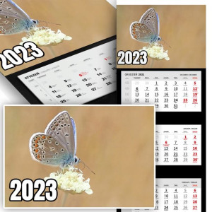 Trójdzielny Kalendarz 2023 MOTYLE BUTTERFLAY Wz