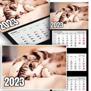 Trójdzielny Kalendarz 2023 ŚMIESZNE KOTKI Wzory