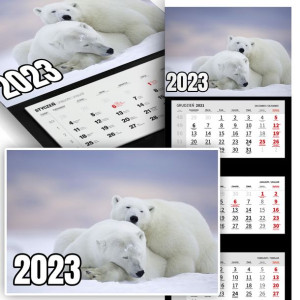 Trójdzielny Kalendarz 2023 ZWIERZĘTA ANIMAL Wzory