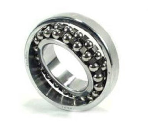 Łożysko 1206 Skf