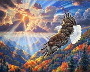 Diamentowa Mozaika Orzel 69818 Norimpex
