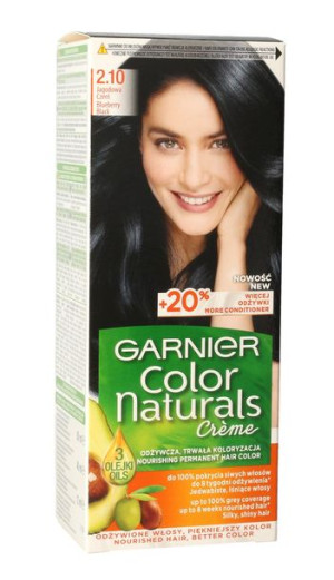 GAR COLOR N Farba nr    2.10 Myrtille