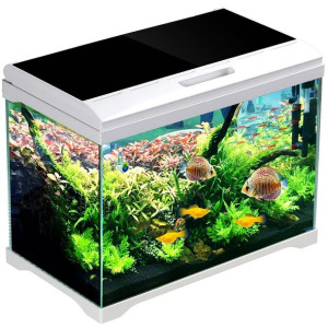 Sunsun Supreme Aquaplant 30l - Zestaw Akwarium