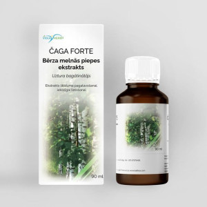 Befungin Czaga koncentrat 1:1 90 ml