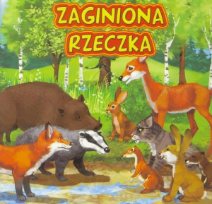 Książka dla dzieci Zaginiona rzeczka Jafi