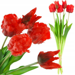 Tulipany Tulipan Papuzie Bukiet Gumowane 5szt