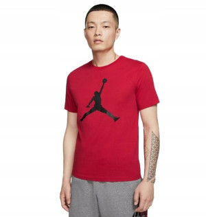 Koszulka Nike Air Jordan T-shirt Da6796 687 R-xs
