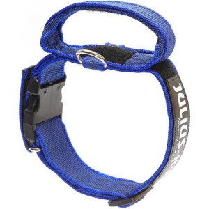 Julius K9 Color&Gray Collar with Handle 50mm - obroża dla psów, z uchwytem