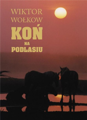 Koń na Podlasiu Wiktor Wołkow