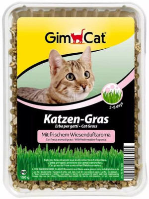 GimCat | Trawa dla kota - Katzen-gras 150g