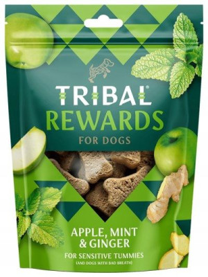 Tribal | Rewards | Ciastka Jabłka Imbir Mięta 125g