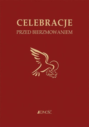 Celebracje przed bierzmowaniem ks. dr Krzysztof Mielnicki, Bogusław Nosek,