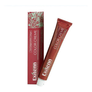 Trwała Koloryzacja Color Creme Exitenn Nº 12/03 Gold Sand (60 ml)
