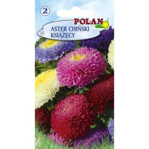 Aster Chiński Książęcy - mieszanka Polan