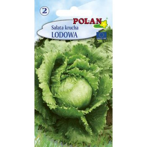 Sałata krucha lodowa Polan