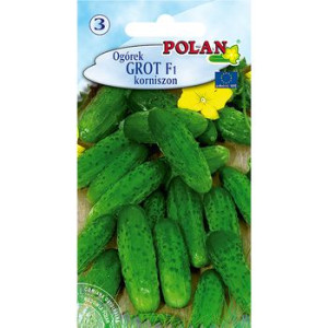 Ogórek Grot Polan