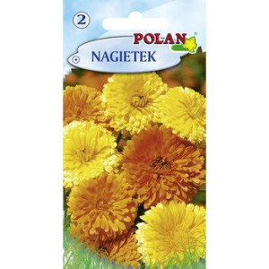 Nagietek Polan