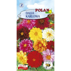 Dalia Karłowa Pełna i Półpełna Polan
