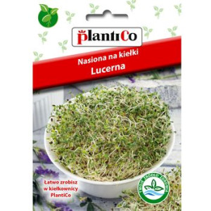 Nasiona na kiełki - Lucerna 20g