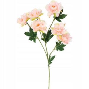 Gałązka Mini Piwonii Łososiowych 60cm