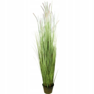 Trawa W Donicy 200 Cm