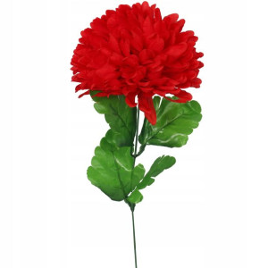Chryzantema Pojedynczy Kwiat 20cm Czerwony Kwiaty