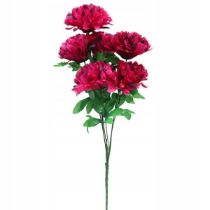 Bukiet 6 Chryzantem Bordowych 72 Cm