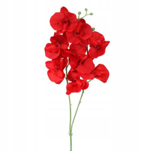 Storczyk Podwójny Czerwony 60cm