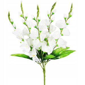 Bukiet 5 białych gladioli